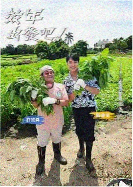 乘风2025