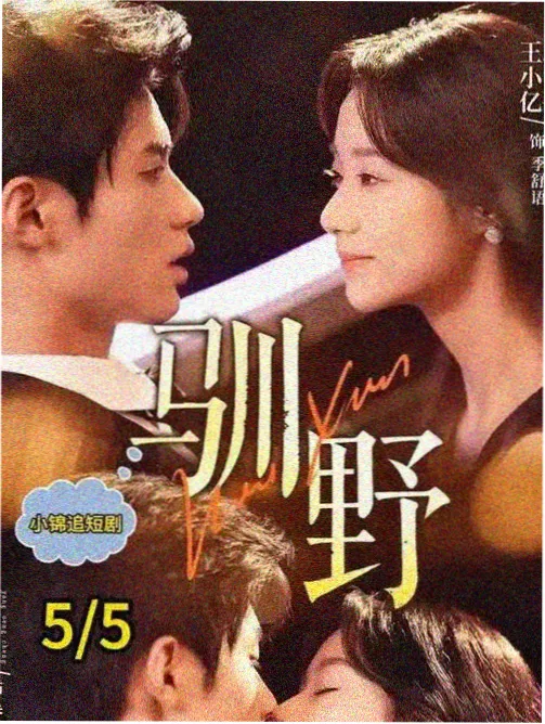琅琊榜之风起长林